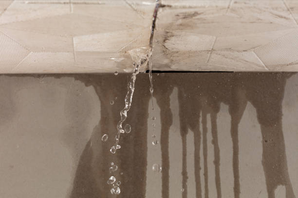 Professional Water Extraction technician working in Peck, MI